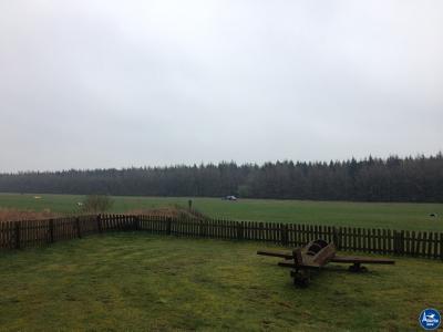 Steinesammeln 2014