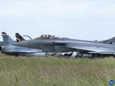 Tigermeet 2014