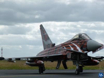 Tigermeet 2014