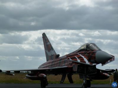 Tigermeet 2014