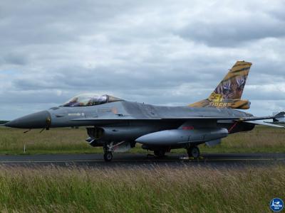 Tigermeet 2014