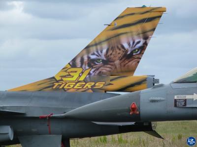 Tigermeet 2014