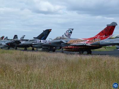 Tigermeet 2014