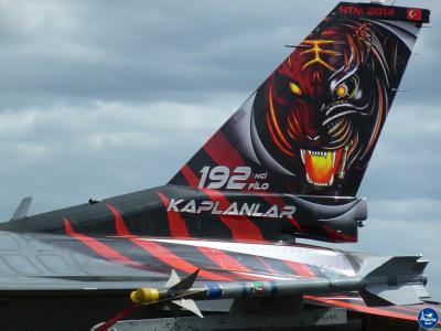 Tigermeet 2014