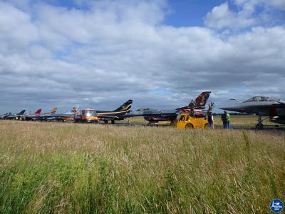 Tigermeet 2014