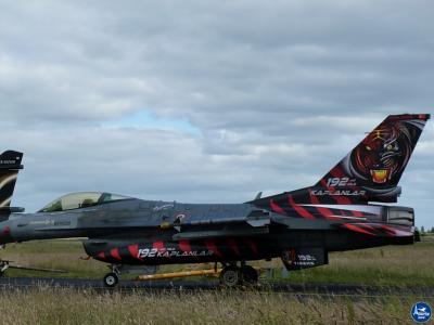 Tigermeet 2014